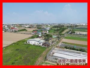 誠昱/七股後港室內植栽首.