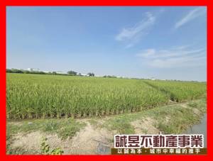 誠昱/官田市地重劃金.