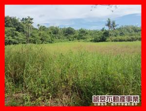 誠昱/左鎮化石館旁農保農.