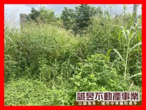 誠昱/永康交流道運輸區專.